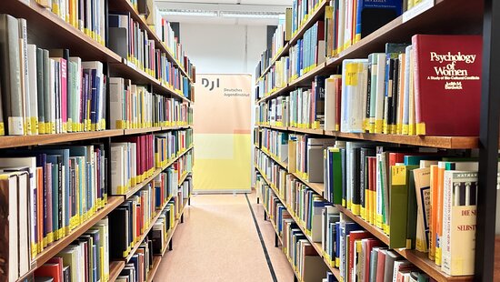Blick durch zwei Regalreihen in der DJI Bibliothek